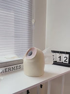 ceramic tissue box Owl